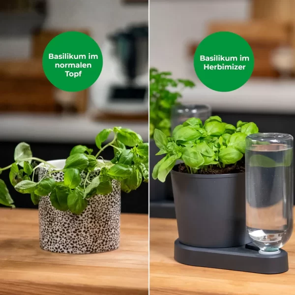 Herbimizer® | Kruidenpot met automatisch irrigatiesysteem - Afbeelding 6