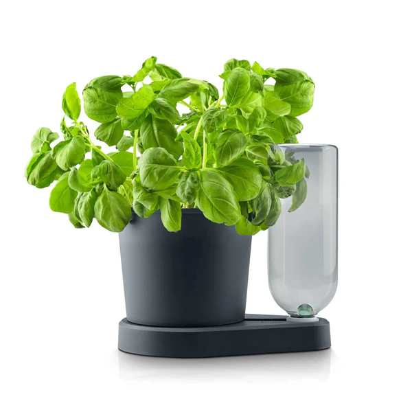 Herbimizer Kruidenpot met automatisch bewateringssysteem